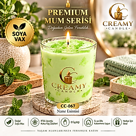 Creamy Candle nane esintisi  Premium Dekoratif Kokulu Mum